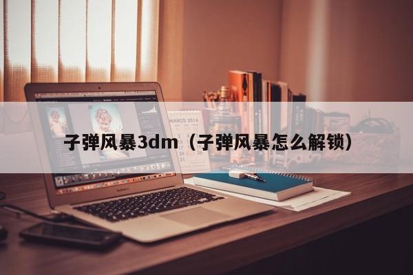 子弹风暴3dm（子弹风暴怎么解锁）