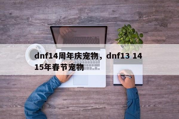 dnf14周年庆宠物，dnf13 14 15年春节宠物