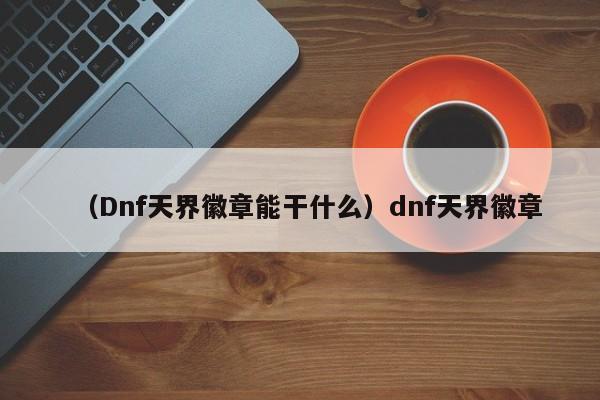 （Dnf天界徽章能干什么）dnf天界徽章