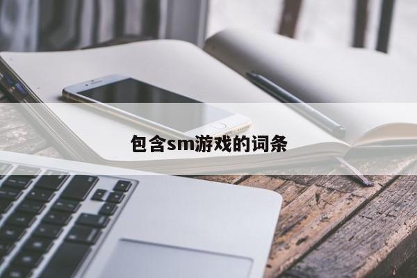 包含sm游戏的词条