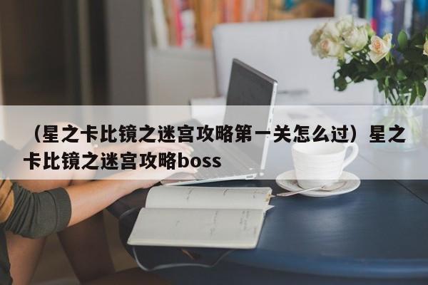 （星之卡比镜之迷宫攻略第一关怎么过）星之卡比镜之迷宫攻略boss