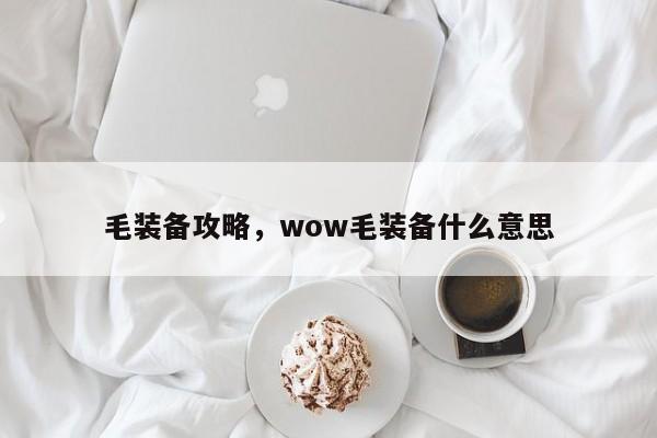 毛装备攻略，wow毛装备什么意思