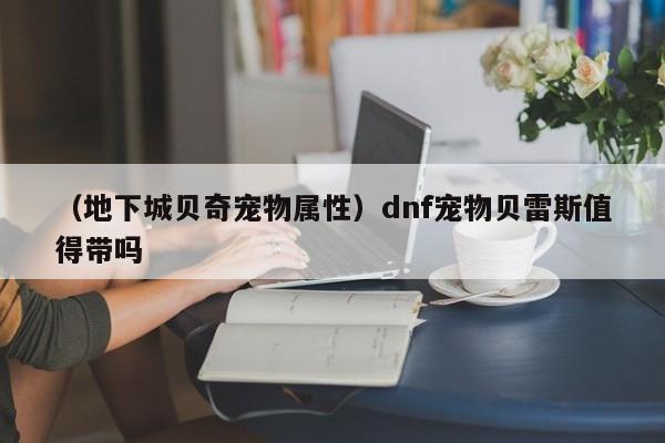 （地下城贝奇宠物属性）dnf宠物贝雷斯值得带吗