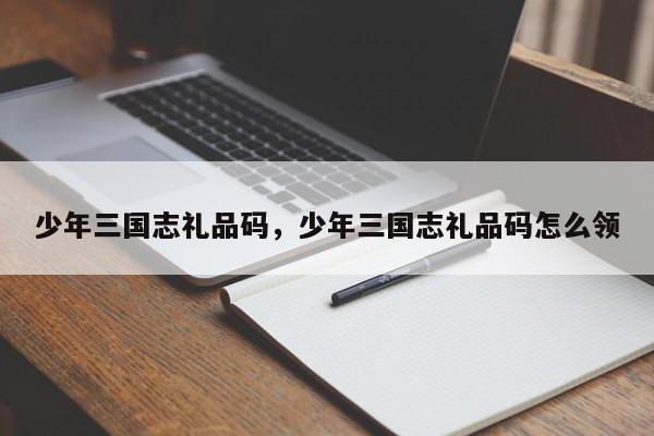 少年三国志礼品码，少年三国志礼品码怎么领