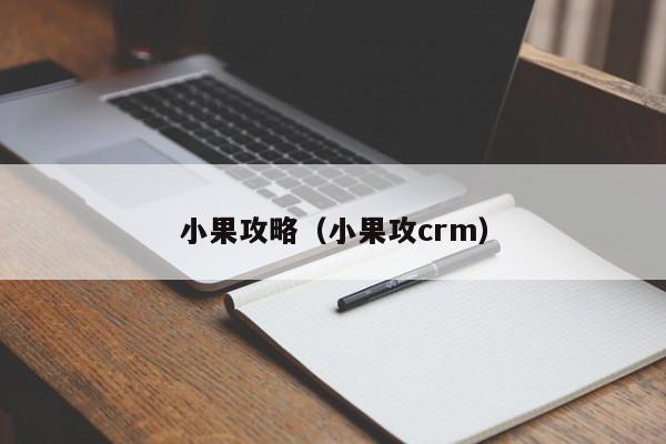 小果攻略（小果攻crm）