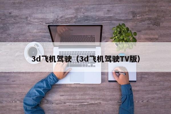 3d飞机驾驶（3d飞机驾驶TV版）