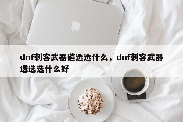 dnf刺客武器遴选选什么，dnf刺客武器遴选选什么好