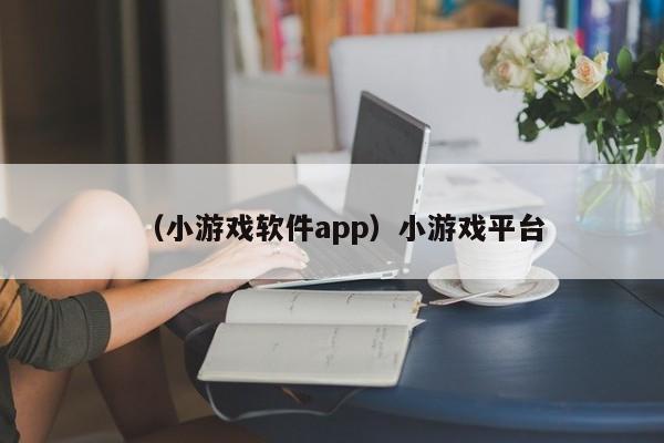 （小游戏软件app）小游戏平台