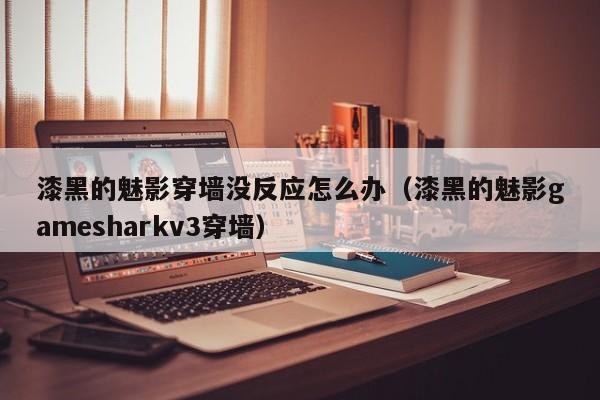 漆黑的魅影穿墙没反应怎么办（漆黑的魅影gamesharkv3穿墙）