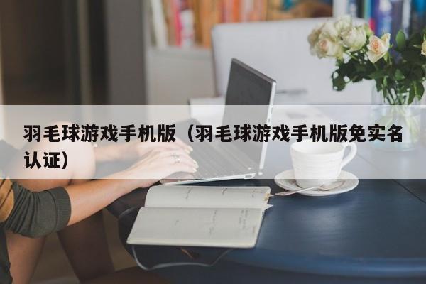 羽毛球游戏手机版（羽毛球游戏手机版免实名认证）