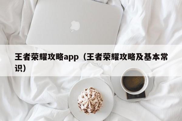 王者荣耀攻略app（王者荣耀攻略及基本常识）