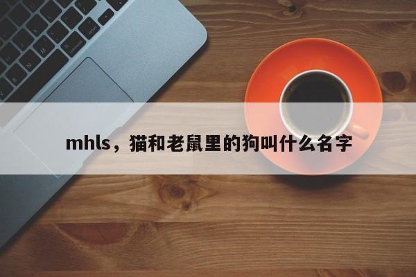 mhls，猫和老鼠里的狗叫什么名字