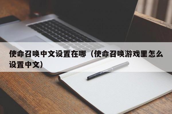 使命召唤中文设置在哪（使命召唤游戏里怎么设置中文）