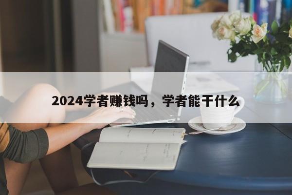 2024学者赚钱吗，学者能干什么