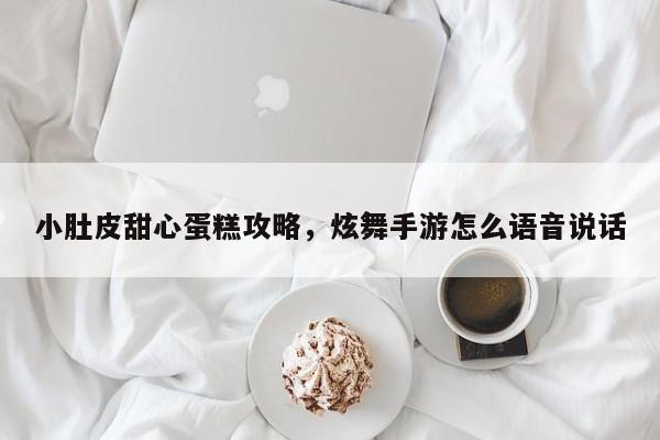 小肚皮甜心蛋糕攻略，炫舞手游怎么语音说话