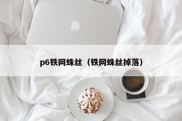 p6铁网蛛丝（铁网蛛丝掉落）