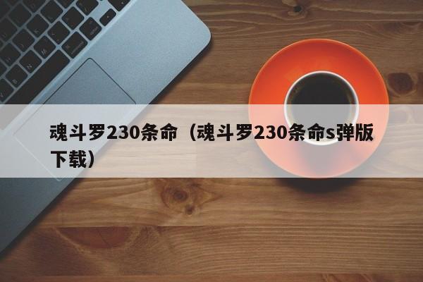 魂斗罗230条命（魂斗罗230条命s弹版下载）