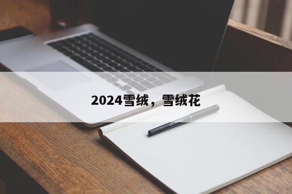 2024雪绒，雪绒花