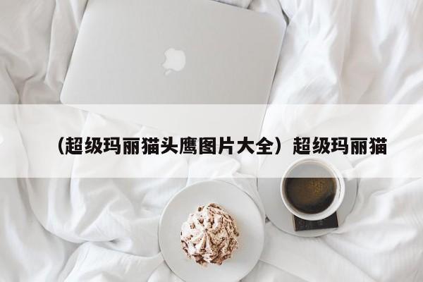 （超级玛丽猫头鹰图片大全）超级玛丽猫