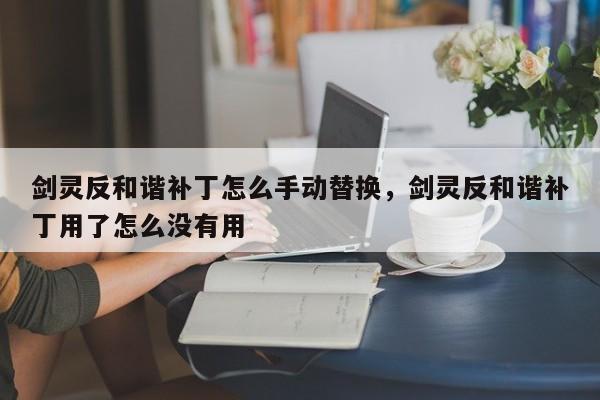 剑灵反和谐补丁怎么手动替换，剑灵反和谐补丁用了怎么没有用