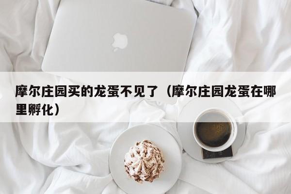 摩尔庄园买的龙蛋不见了（摩尔庄园龙蛋在哪里孵化）