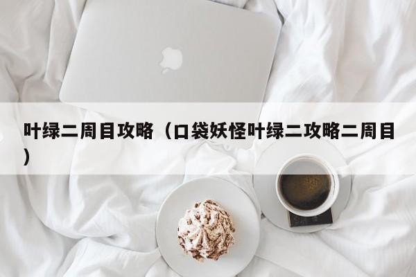 叶绿二周目攻略（口袋妖怪叶绿二攻略二周目）