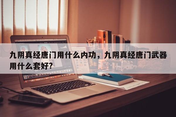 九阴真经唐门用什么内功，九阴真经唐门武器用什么套好?