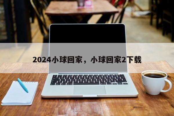 2024小球回家，小球回家2下载